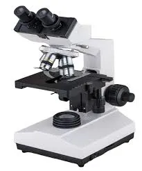 microscope (x107 bn)