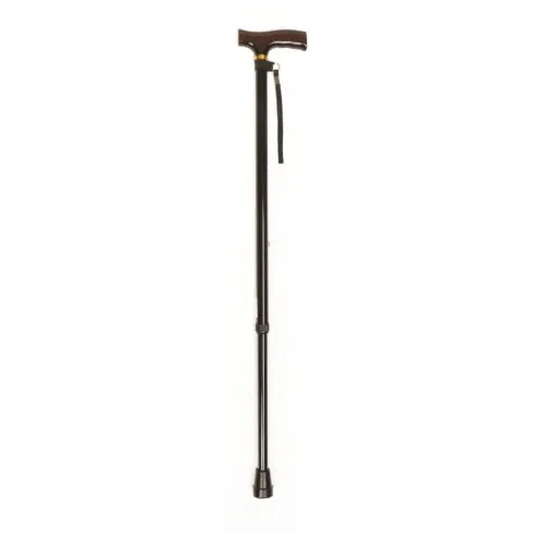 walking stick