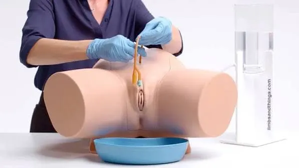 female catheter model